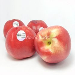 Polar Light White Nectarine