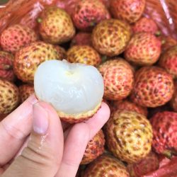 Salathiel (Lou Mai Chee) Lychee flesh