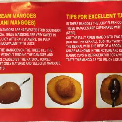 Ice Cream Mango (Jill Pasanth) Mango insert