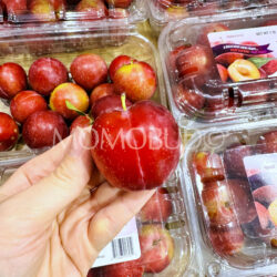 Verry Cherry Plum on hand Verry Cherry Plum on hand