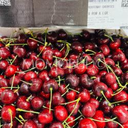 Washington Kootenay Red Cherries