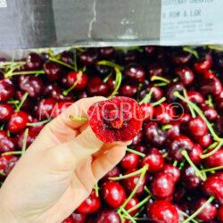Washington Kootenay Red Cherry cross section