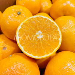 AUS Phoenix Mandarin Orange cross section AUS Phoenix Mandarin Orange cross section