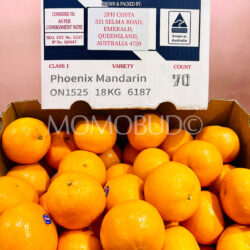 AUS Phoenix Mandarin Oranges AUS Phoenix Mandarin Oranges