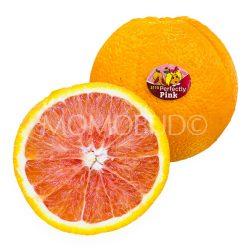 Australian Cara Cara Navel Orange