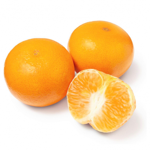 phoenix-mandarin-orange