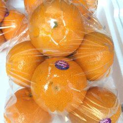 Phoenix Mandarin Orange