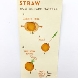 Granadilla (Passionfruit) straw usage instruction