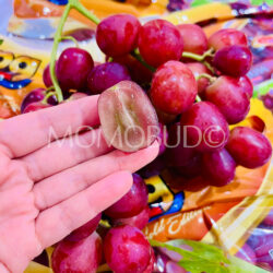 USA Jack’s Salute® Red Seedless Grapes cross section
