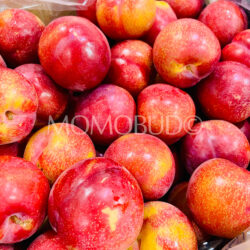 Australian Amber Jewel Plums Australian Amber Jewel Plums
