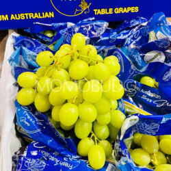 Australian Divinity Autumn Crisp Green Seedless Grapes