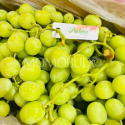Australian Palms Vineyards Autumn Crisp Seedless Grapes Australian Palms Vineyards Autumn Crisp Seedless Grapes