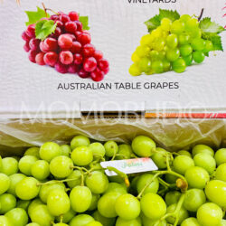 Australian Palms Vineyards Autumn Crisp Seedless Grapes Box 4.5kg Australian Palms Vineyards Autumn Crisp Seedless Grapes Box 4.5kg