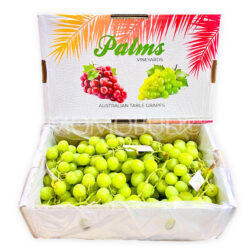 Australian Palms Vineyards Autumn Crisp Seedless Grapes Box 4.5kg