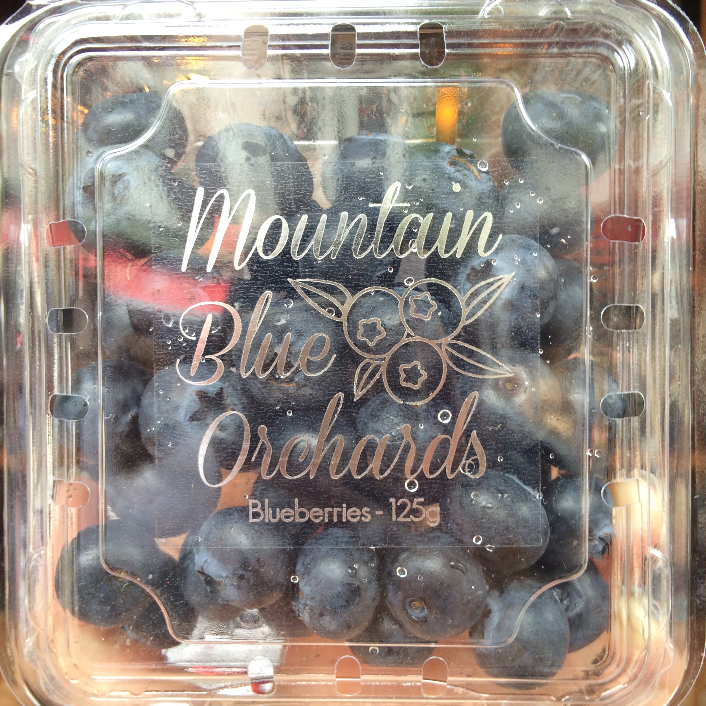 Mountain Blue Blueberry (125g) — MomoBud