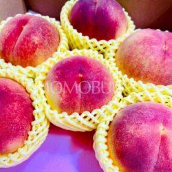 Japanese Kinrara no Kiwami Golden Peaches