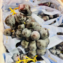 Australian Cordoma Adora Black Seedless Grapes Australian Cordoma Adora Black Seedless Grapes