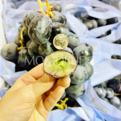Australian Cordoma Adora Black Seedless Grapes cross section Australian Cordoma Adora Black Seedless Grapes cross section