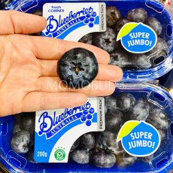 Australian Super Jumbo Corindi Blueberry