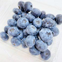 Jumbo Corindi Blueberry 1