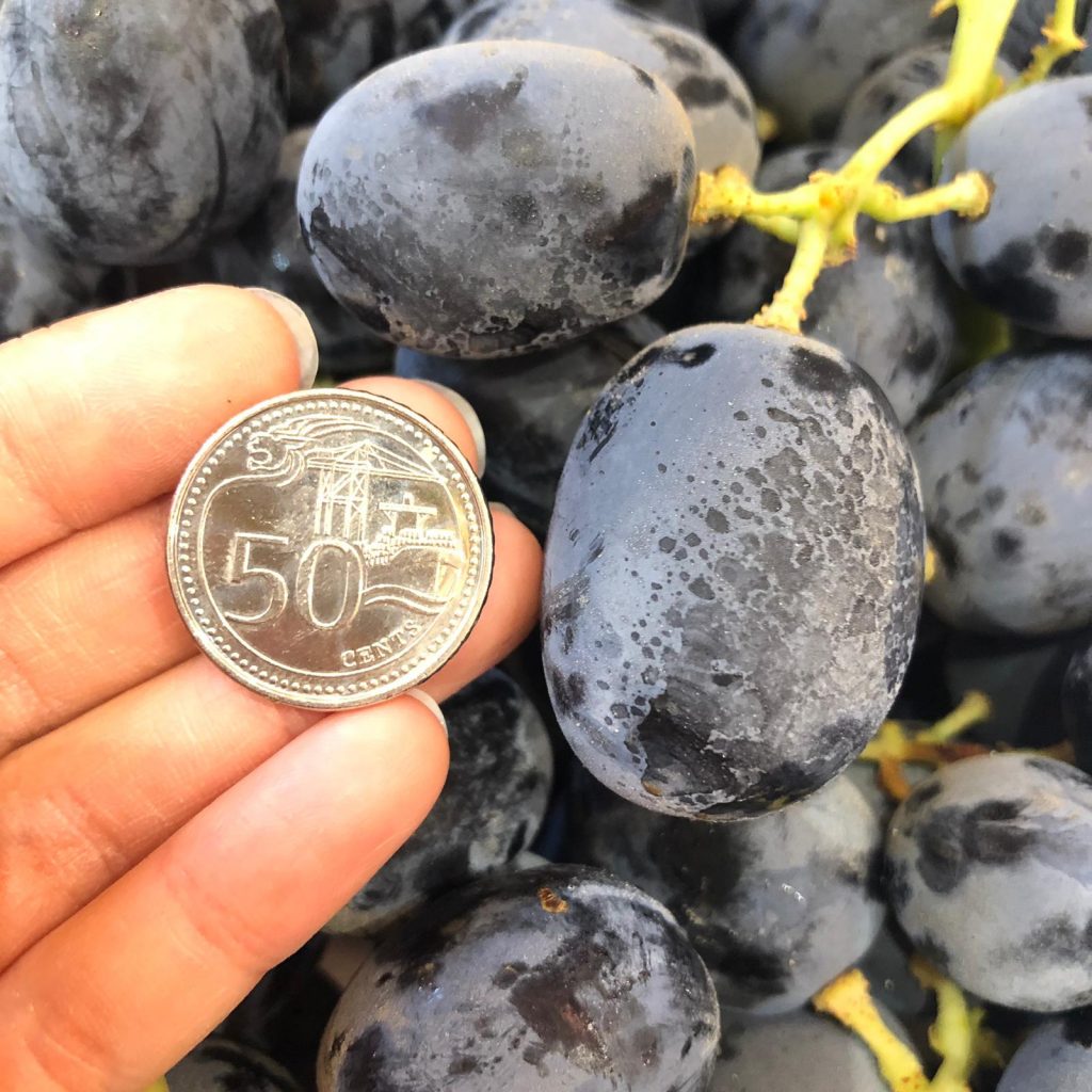 Premium Adora Black Seedless Grapes (1kg) — MomoBud