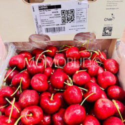 Chilean Ocho Fuegos Lapin Red Cherry White Gift Box (2.5kg) 2