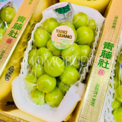 China Fresh Rose Shine Muscat Grapes