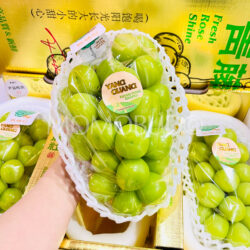 China Fresh Rose Shine Muscat Grapes