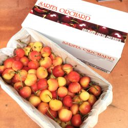 Chile Rainier Cherry 2kg Gift Box 2