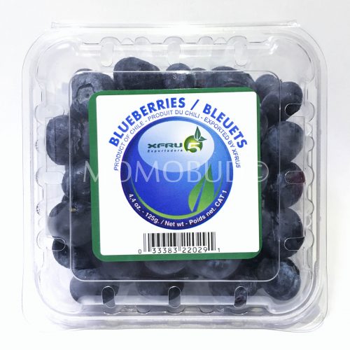 Chile Blueberry