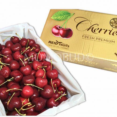 Cherry in Singapore
