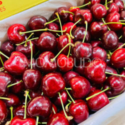 Tasmanian Jumbo Reid Santina Red Cherries