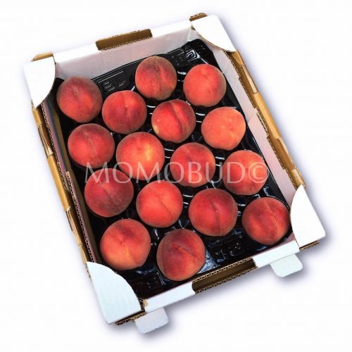 Snow King White Peach Box