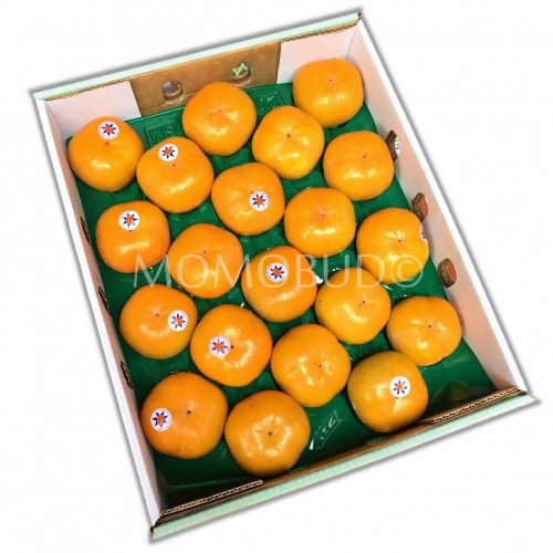 Australian Sweet Gold Jiro Persimmon Box (20pcs)