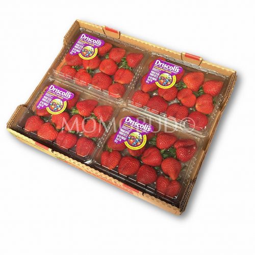 Driscoll's Long Stem Strawberry Tray