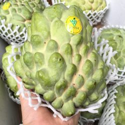 Australian Custard Apples