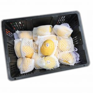 Myanmar Sein Ta Lone Mango Box