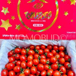 China Ling Long Cherry Tomato Gift Box (1kg) 1