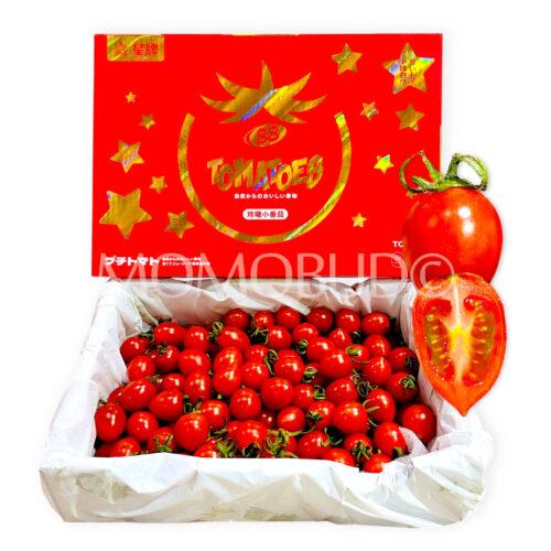 China Ling Long Cherry Tomato Gift Box (1kg)