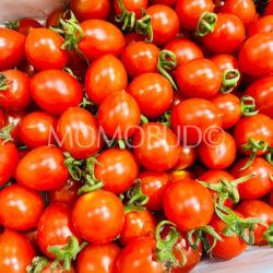 China Ling Long Cherry Tomatoes