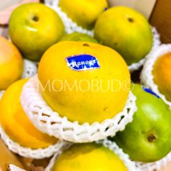 Indian Ramee Rumaani Ice Cream Mango