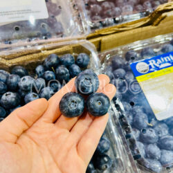 Organic Rainier Blueberries Organic Rainier Blueberries