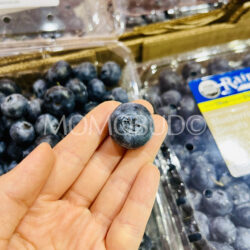 Organic Rainier Blueberry Organic Rainier Blueberry