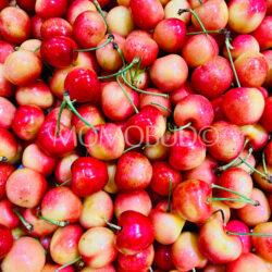 Washington Stemilt Rainier Cherries 9 row