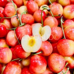 Washington Stemilt Rainier Cherry cross section 9 row