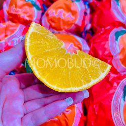 China Xi Dong Hong Red Beauty Orange (Hong Mei Ren) slice