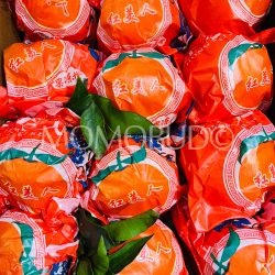 China Xi Dong Hong Red Beauty Oranges (Hong Mei Ren)