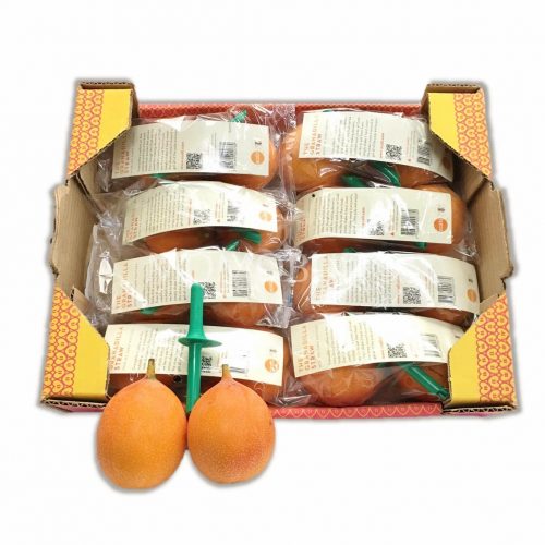 Granadilla (Passionfruit) Box