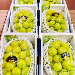 Hareo Shine Musct Grapes Gift Boxes 800g and above Hareo Shine Musct Grapes Gift Boxes 800g and above