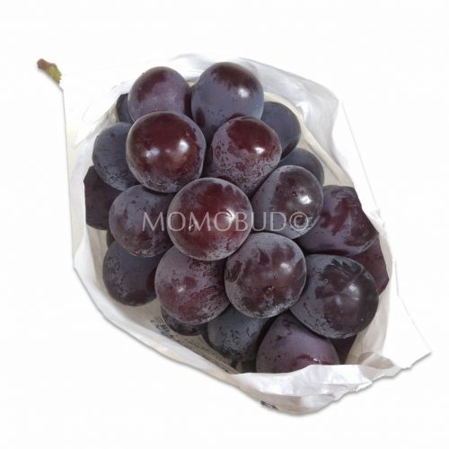 Japanese New Pione Grapes